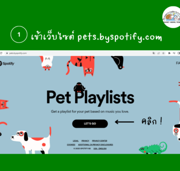รีวิว pet playlist ใน spotify