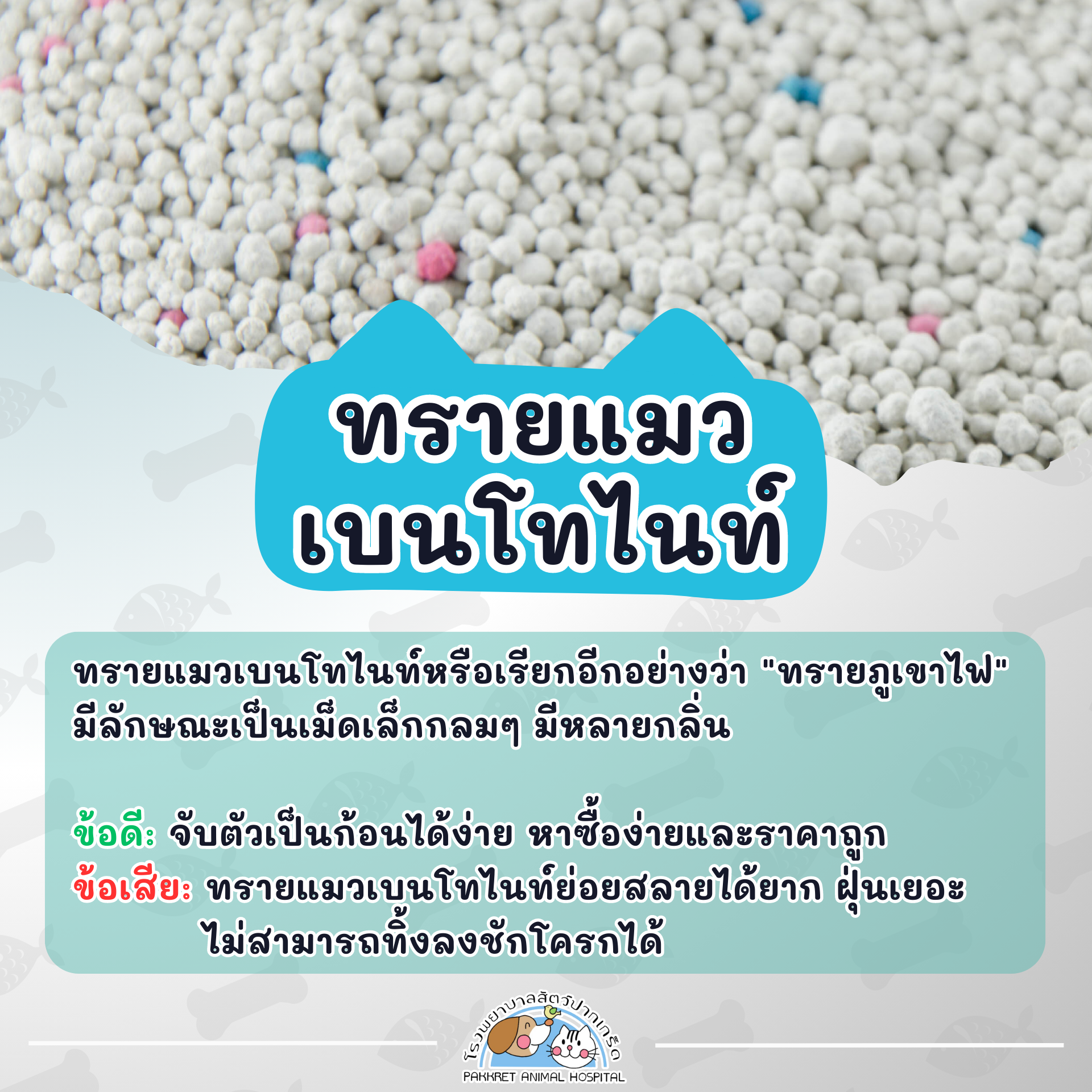 Cat litter