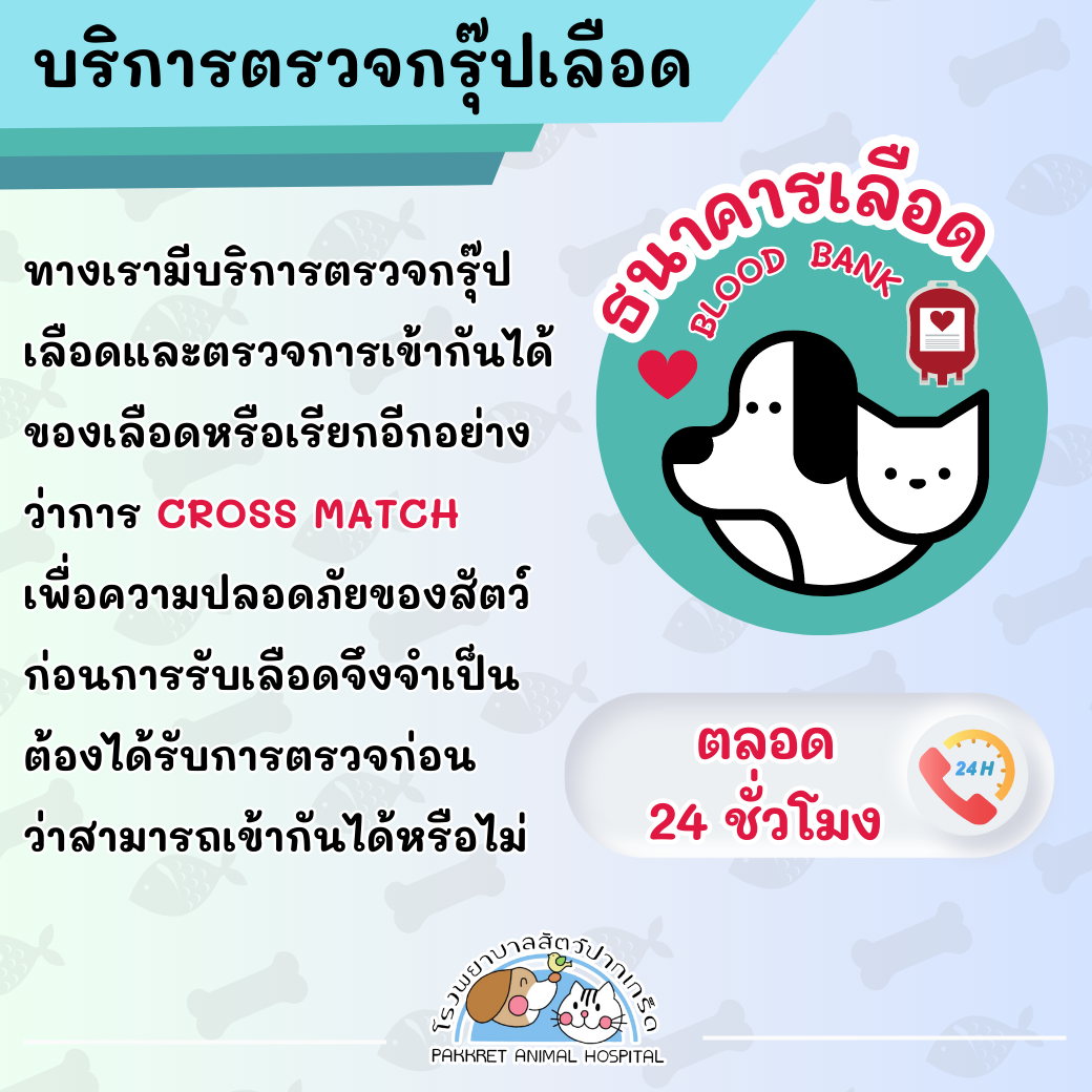 Cross Match