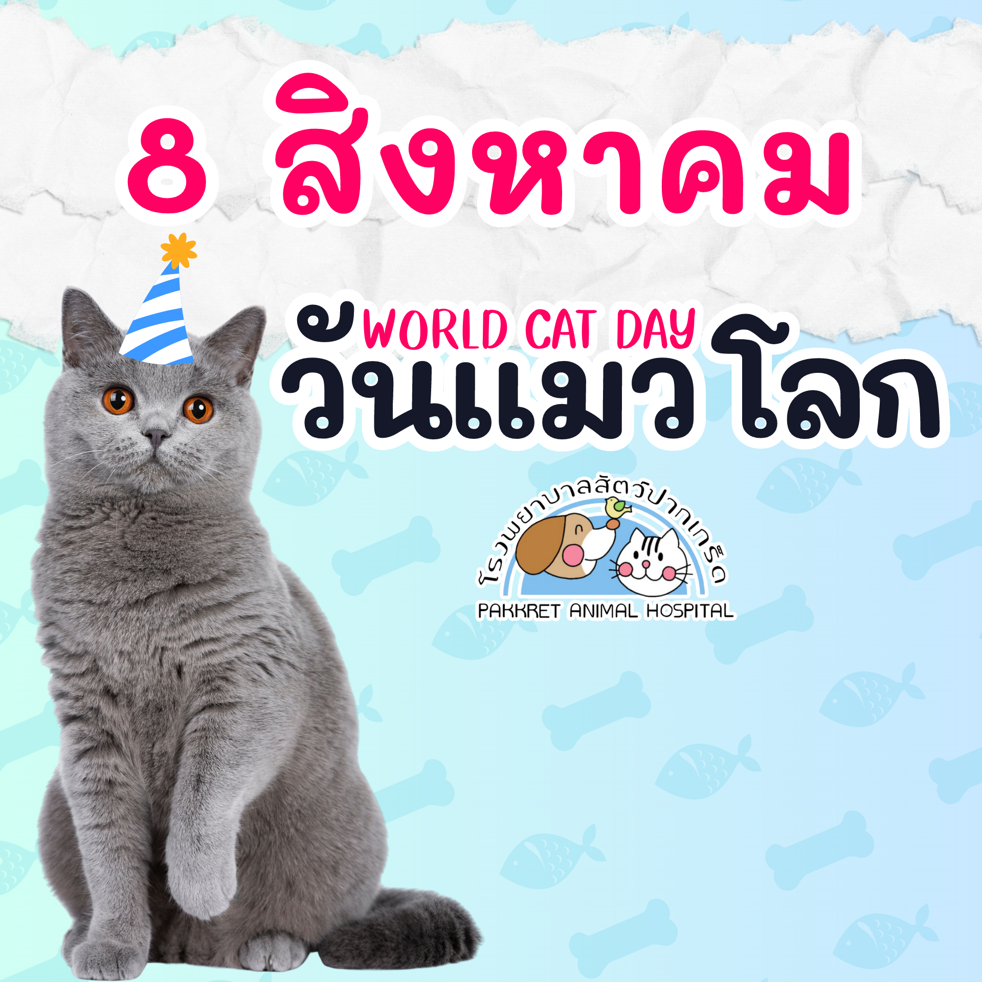 world cat day cover