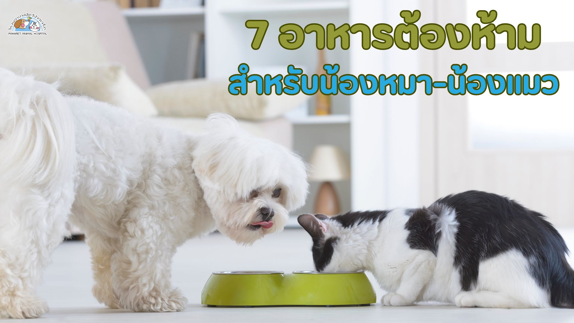 อาหารที่น้องหมาน้องแมวกินไม่ได้