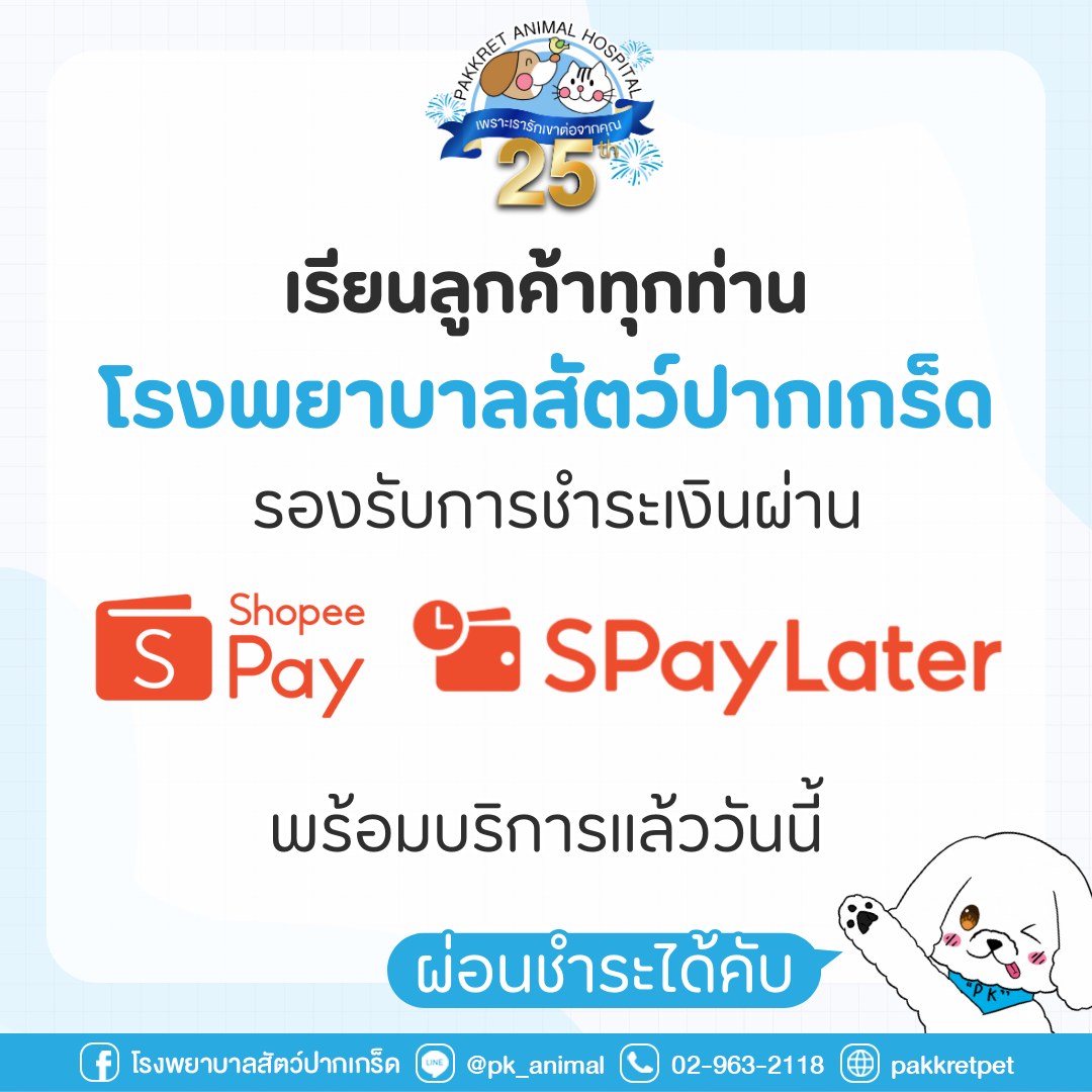 ShopeePay และ SPayLater