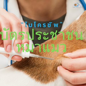 ไมโครชิพ